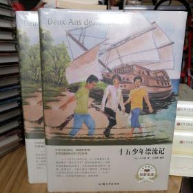【全新塑封】十五少年漂流记（名家名译）