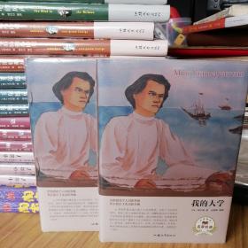 【全新塑封】我的大学（名家名译）