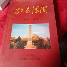 红色清涧（详尽记述陕北红色根据地、老一辈革命家的革命实践）