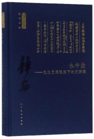 水中盐：文化艺术视角下的王国维/何以传世艺术文丛