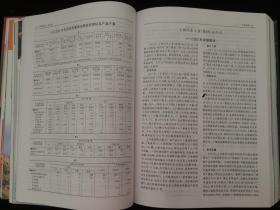 中国汽车工业年鉴2003年版 激活新力量