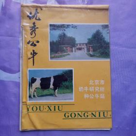 优秀公牛（北京市奶牛研究所种公牛站）