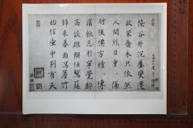 镜片银盐照片，元帖集萃，Agfa Brovira 德国爱克发相纸， 俞和、张雨、王彦强、陈铎、庾益生