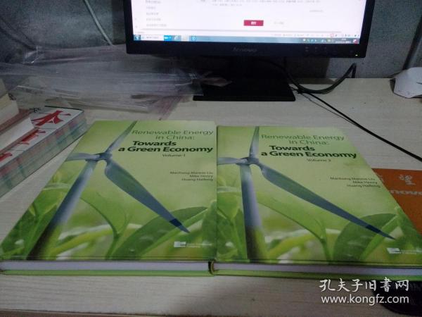 Renewable Energy in China：Towards a Green Economy （Volume1.2）