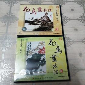 花鸟画技法 壹、贰 2VCD