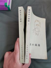 契科夫小说选 上下