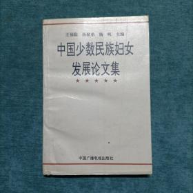 中国少数民族妇女发展论文集