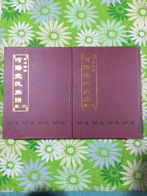 孟州梧桐 河阳党氏族谱【卷6，卷7两册合售，大16开，精装巨厚】