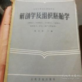 解剖学及组织胚胎学