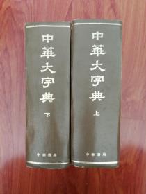 中国大字典（缩印本全2册）上下