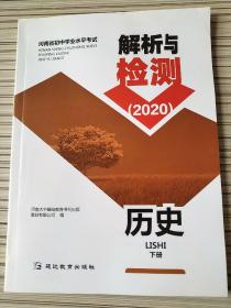 解析与检测 2020 历史 下册