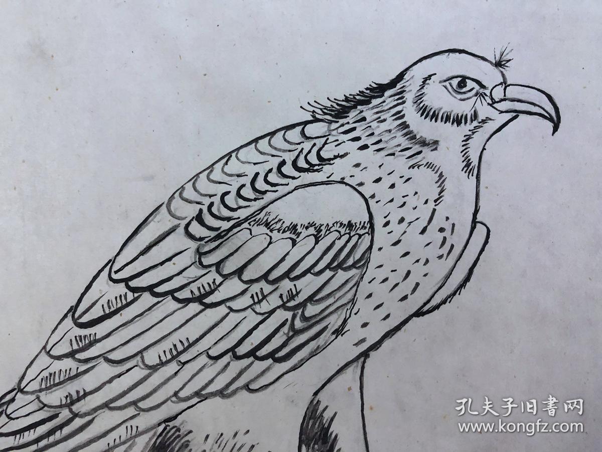 书画8865无款工笔白描花鸟画稿