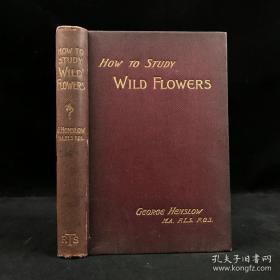 1902年   HOW  TO  STUDY  WILD  FLOWERS  如何研究野花     57幅插图  漆布精装  by  George   Henslow