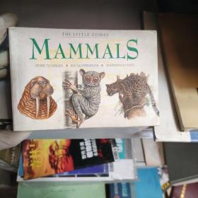 THE LITTLE GUIDES MAMMALS