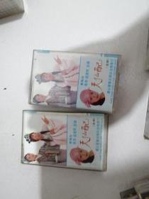 天仙配（上下）