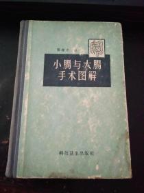 小肠与大肠手术图解（印6000册，精装）