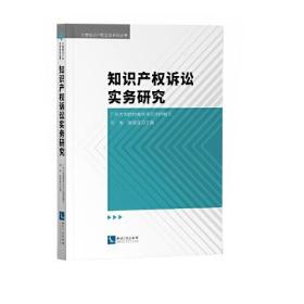 知识产权诉讼实务研究