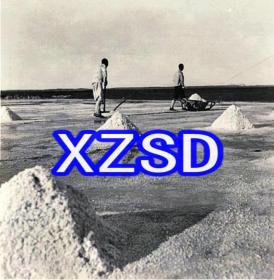 天津汉沽盐场結晶池1941（翻印）