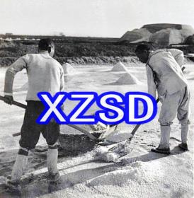 天津汉沽盐场盐田收盐1941（翻印）