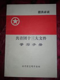 共青团十三大文件学习手册