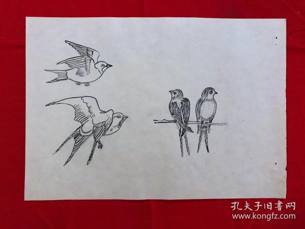 书画8961无款工笔白描花鸟画稿