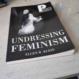 understanding  undressing feminism history of feminism 女性主义的历史 英文原版