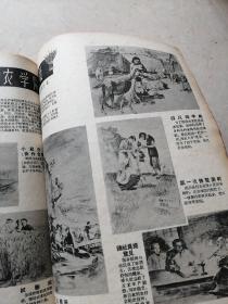 连环画报1958（7.8.910.11.12.13.14.15.16.17.18）12本和售