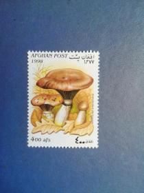 外国邮票 阿富汗邮票  1998年 蘑菇 
 （无邮戳新票）