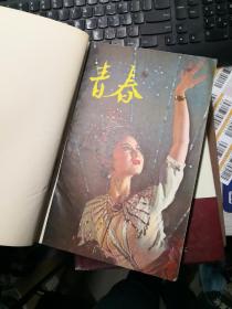 青春 青年文学月刊  1980年 1-12 合订本    外皮如图  八五品稍弱     9GG