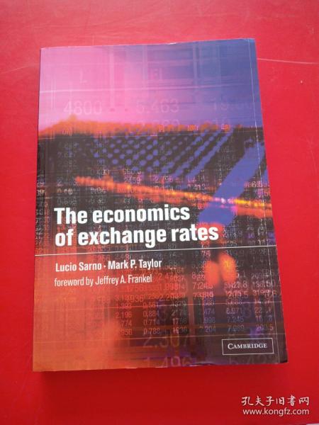 The Economics of Exchange Rates