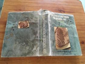 fossil floras of china through the geological ages （貨號d113~114)