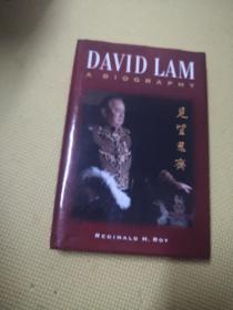 DAVID LAM