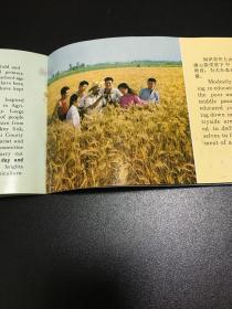 1976年秋季中国出口商品交易会⋯⋯ 《祁连山麓春潮湧》