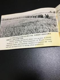 1976年秋季中国出口商品交易会⋯⋯ 《祁连山麓春潮湧》