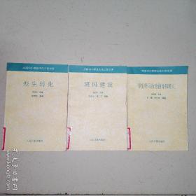 实用中学生班主任工作文库《学生学习行为指导和矫正》《版风建设》《差生转化》3本合售