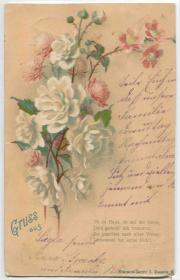德国 1901年 实寄明信片 花束 花卉CARD-H494 DD