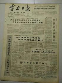 生日报云南日报1966年2月14日（4开四版）
向焦裕禄学习做毛泽东同志的好学生；
决心要像焦裕禄那样活学活用毛主席著作；