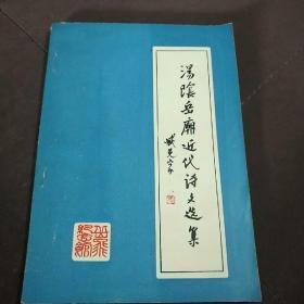 汤阴岳庙近代诗文选集    作者:  河南省汤阴县岳飞纪念馆】