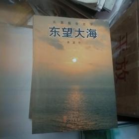 东望大海