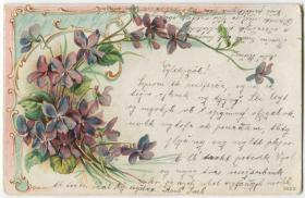 奥地利 1902年 实寄明信片 花卉 CARD-H493 DD