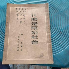 什么是原始社会