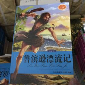 鲁滨孙漂流记