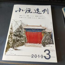小说选刊 2019年 第3期