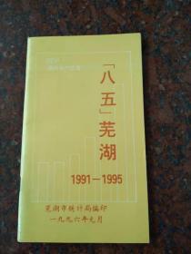 《「八五」芜湖（1991-1995）》