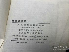 【敌后抗日题材长篇小说】《雁塞游击队》