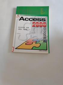 Access 2000中文版速成