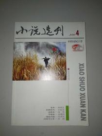 小说选刊(2010年第4期)