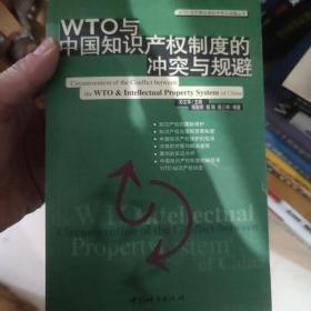 WTO 与中国知识产权制度的冲突与规避