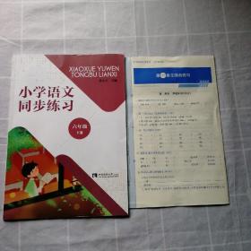 正版2020小学语文同步练习六年级下册（有活页试卷及部分参考答案）配人教版