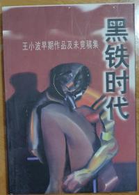 黑铁时代：王小波早期作品及未竟稿集